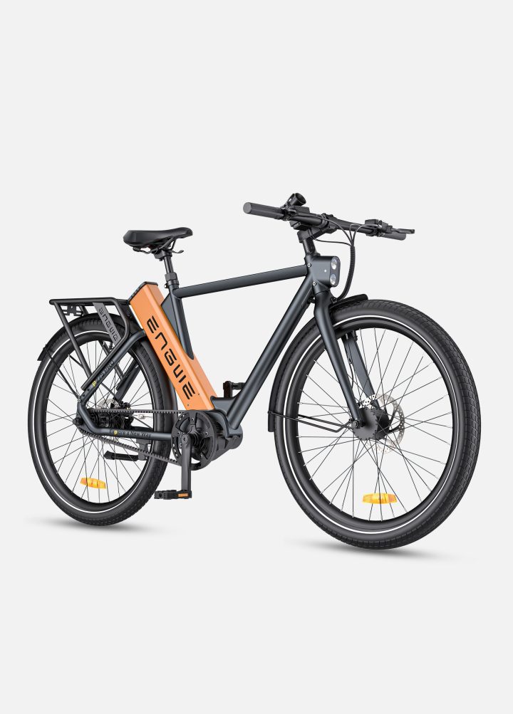 ENGWE P275 Pro | Bicicletta Elettrica | Motore centrale Bafang 250W | Sensore di coppia | 36V 19,2Ah SAMSUNG | Cinghia in carbonio Gates | Autonomia 260km | GARANZIA ITALIANA