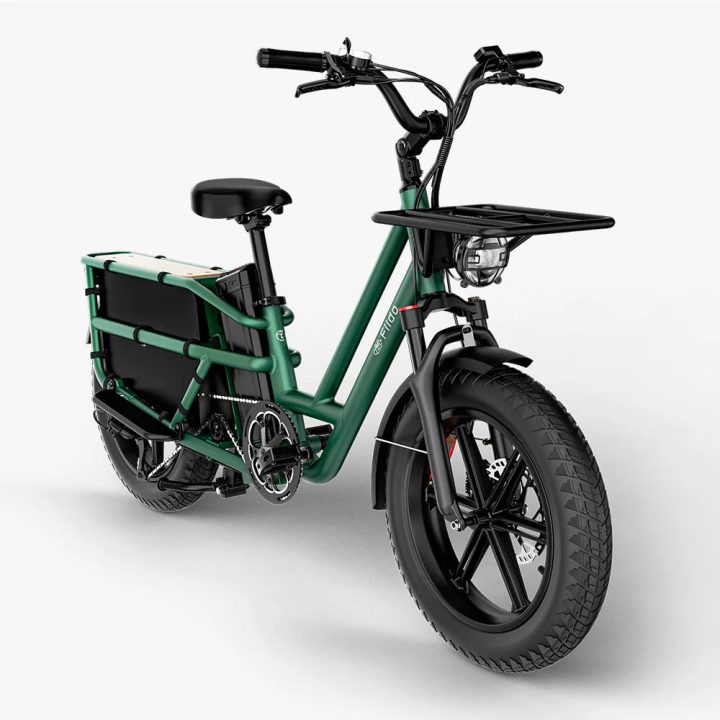 Fiido T2 | Longtail Cargo Bicicletta elettrica | Versatile| Motore 250W 55Nm |  DMEGC 998.4Wh | Sensore di coppia | Freni idraulici  a 4 pistoni | Autonomia 136,26Km| GARANZIA ITALIANA