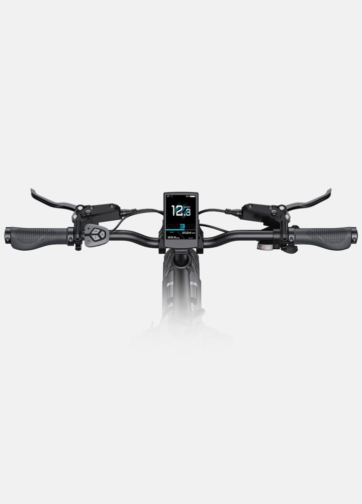 ENGWE L20 3.0 Pro | Bicicletta Elettrica | Motore Centrale 250W | Sensore di coppia | Certificata TÜV | GARANZIA ITALIANA e 100% A NORMA