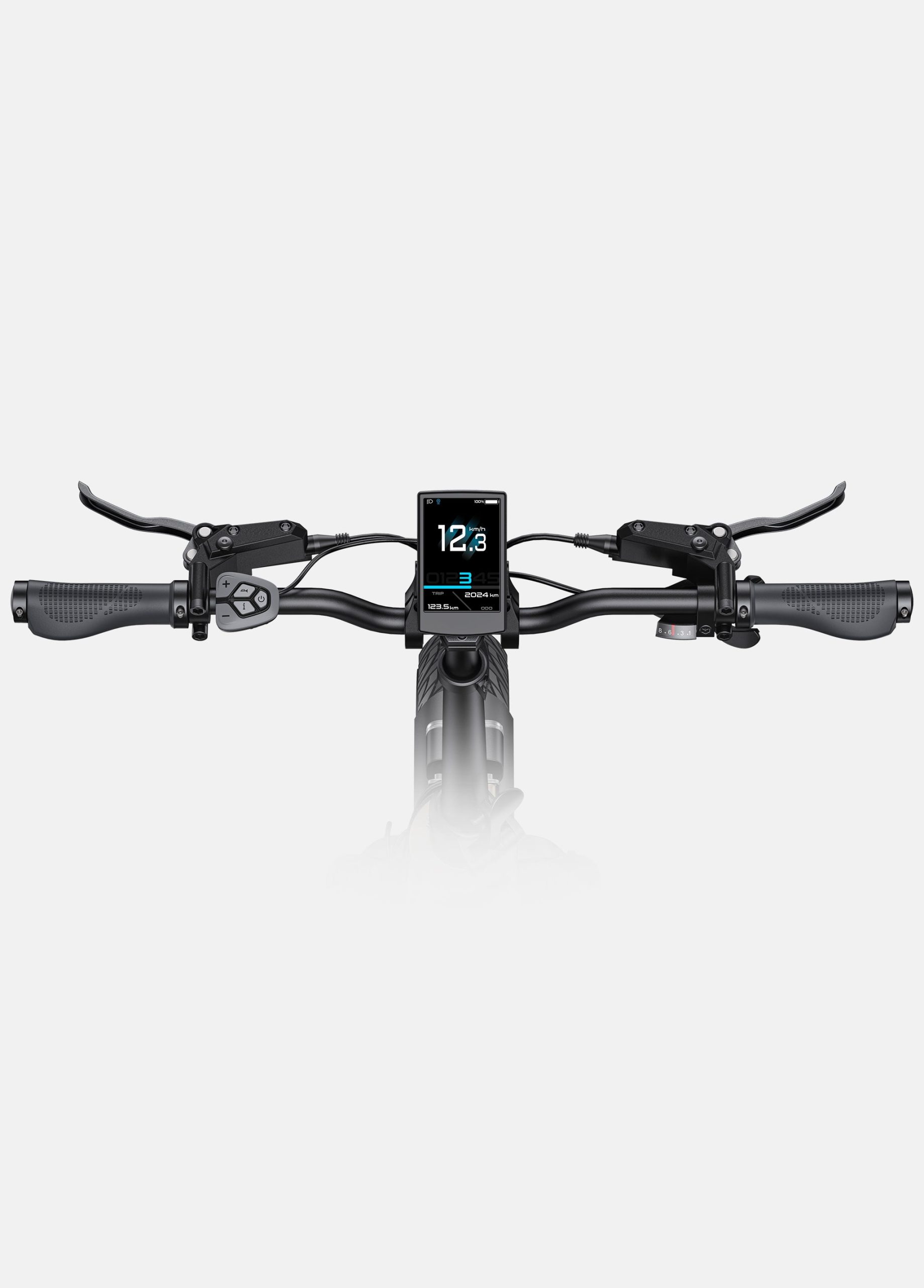 ENGWE L20 3.0 Pro | Bicicletta Elettrica | Motore Centrale 250W | Sensore di coppia | Certificata TÜV | GARANZIA ITALIANA e 100% A NORMA