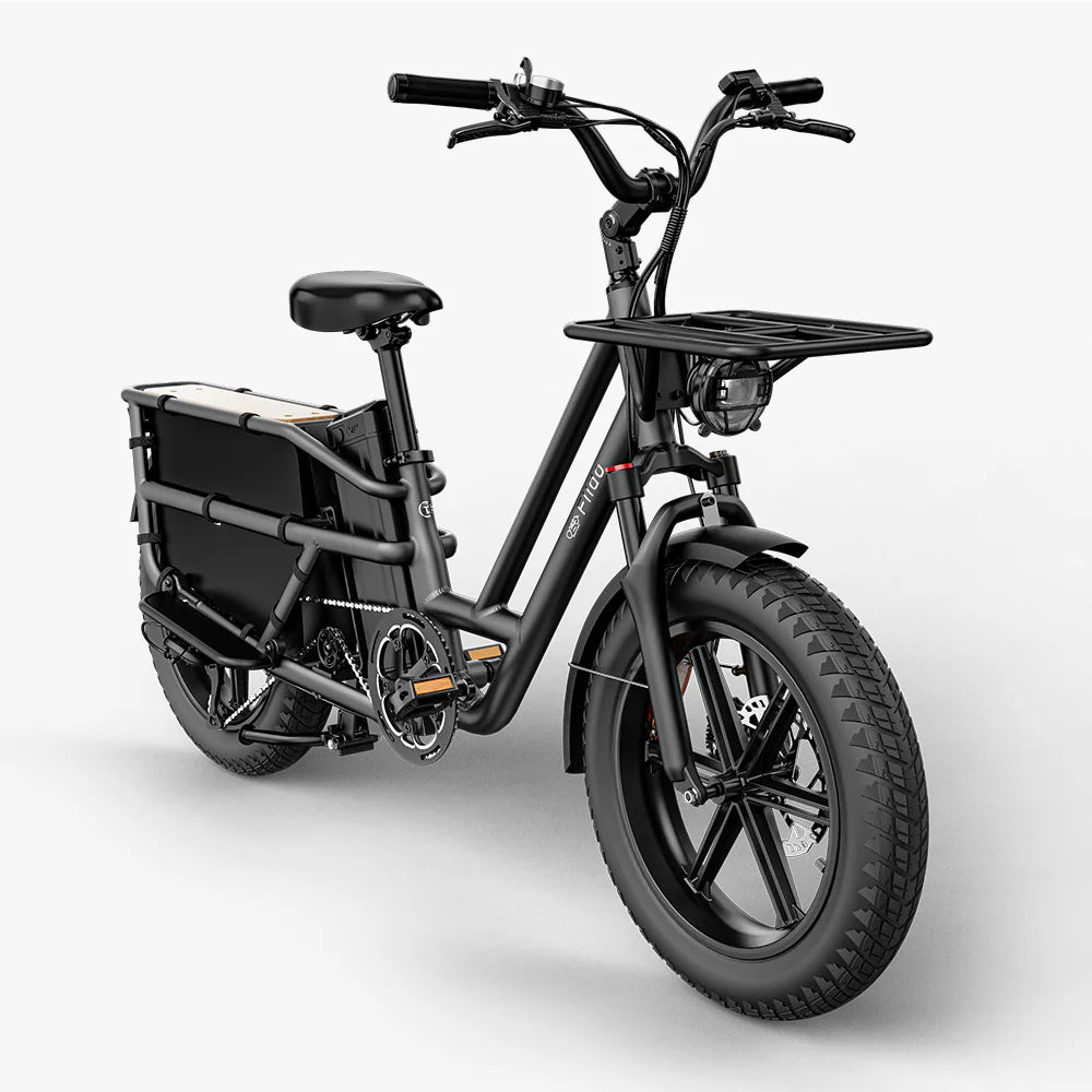 Fiido T2 | Longtail Cargo Bicicletta elettrica | Versatile| Motore 250W 55Nm |  DMEGC 998.4Wh | Sensore di coppia | Freni idraulici  a 4 pistoni | Autonomia 136,26Km| GARANZIA ITALIANA