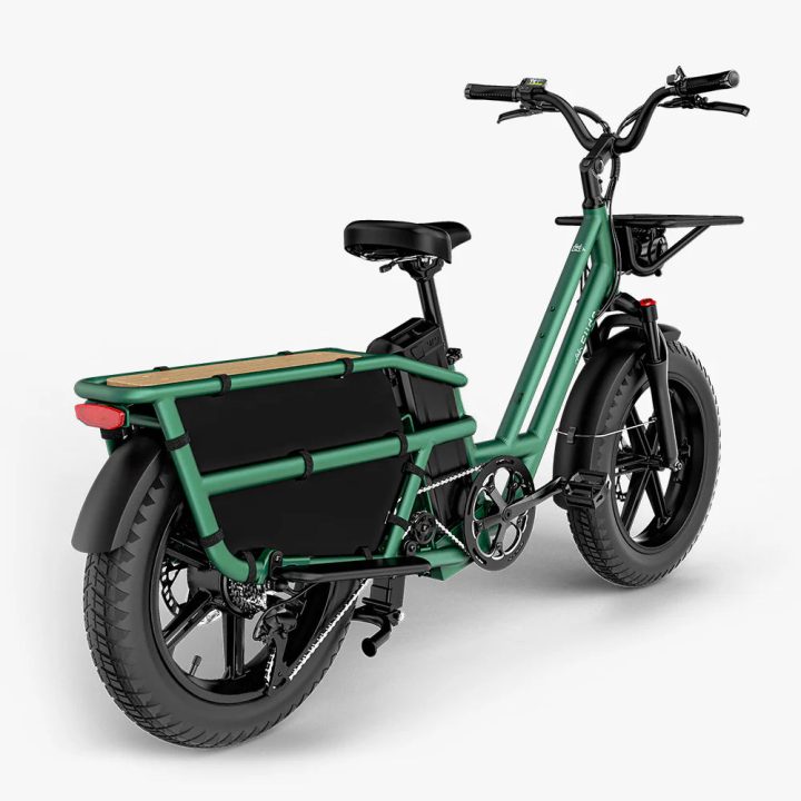 Fiido T2 | Longtail Cargo Bicicletta elettrica | Versatile| Motore 250W 55Nm |  DMEGC 998.4Wh | Sensore di coppia | Freni idraulici  a 4 pistoni | Autonomia 136,26Km| GARANZIA ITALIANA