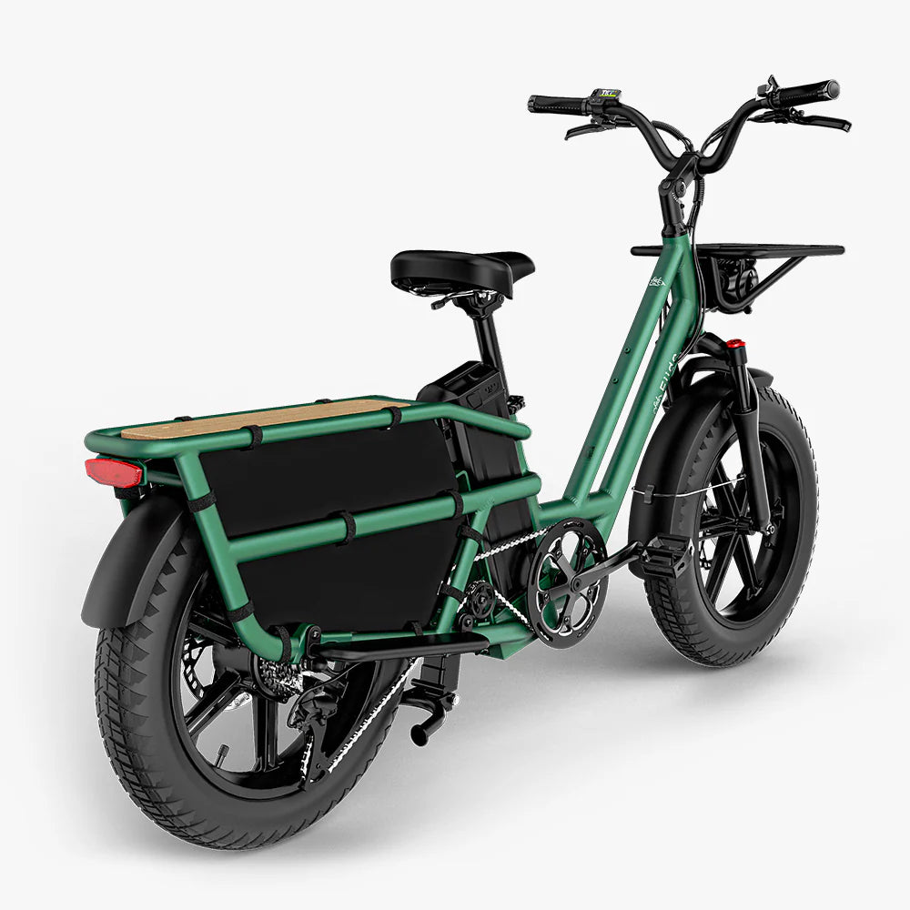 Fiido T2 | Longtail Cargo Bicicletta elettrica | Versatile| Motore 250W 55Nm |  DMEGC 998.4Wh | Sensore di coppia | Freni idraulici  a 4 pistoni | Autonomia 136,26Km| GARANZIA ITALIANA