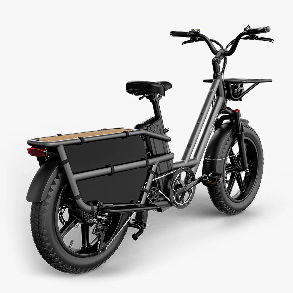 Fiido T2 | Longtail Cargo Bicicletta elettrica | Versatile| Motore 250W 55Nm |  DMEGC 998.4Wh | Sensore di coppia | Freni idraulici  a 4 pistoni | Autonomia 136,26Km| GARANZIA ITALIANA