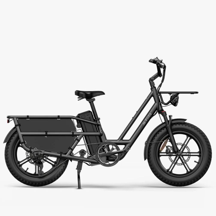 Fiido T2 | Longtail Cargo Bicicletta elettrica | Versatile| Motore 250W 55Nm |  DMEGC 998.4Wh | Sensore di coppia | Freni idraulici  a 4 pistoni | Autonomia 136,26Km| GARANZIA ITALIANA