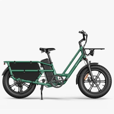 Fiido T2 | Longtail Cargo Bicicletta elettrica | Versatile| Motore 250W 55Nm |  DMEGC 998.4Wh | Sensore di coppia | Freni idraulici  a 4 pistoni | Autonomia 136,26Km| GARANZIA ITALIANA