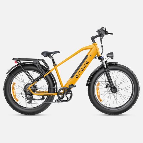 ENGWE E26 | Bicicletta Elettrica | Versatile | Motore 250W | 48V 16Ah | 25km/h | Autonomia 140Km| GARANZIA ITALIANA
