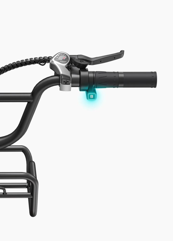 ENGWE L20 Boost | Bicicletta Elettrica | Versatile | Motore 250W | 48V 624wh | Sensore di coppia | 25km/h | Autonomia 126Km| GARANZIA ITALIANA