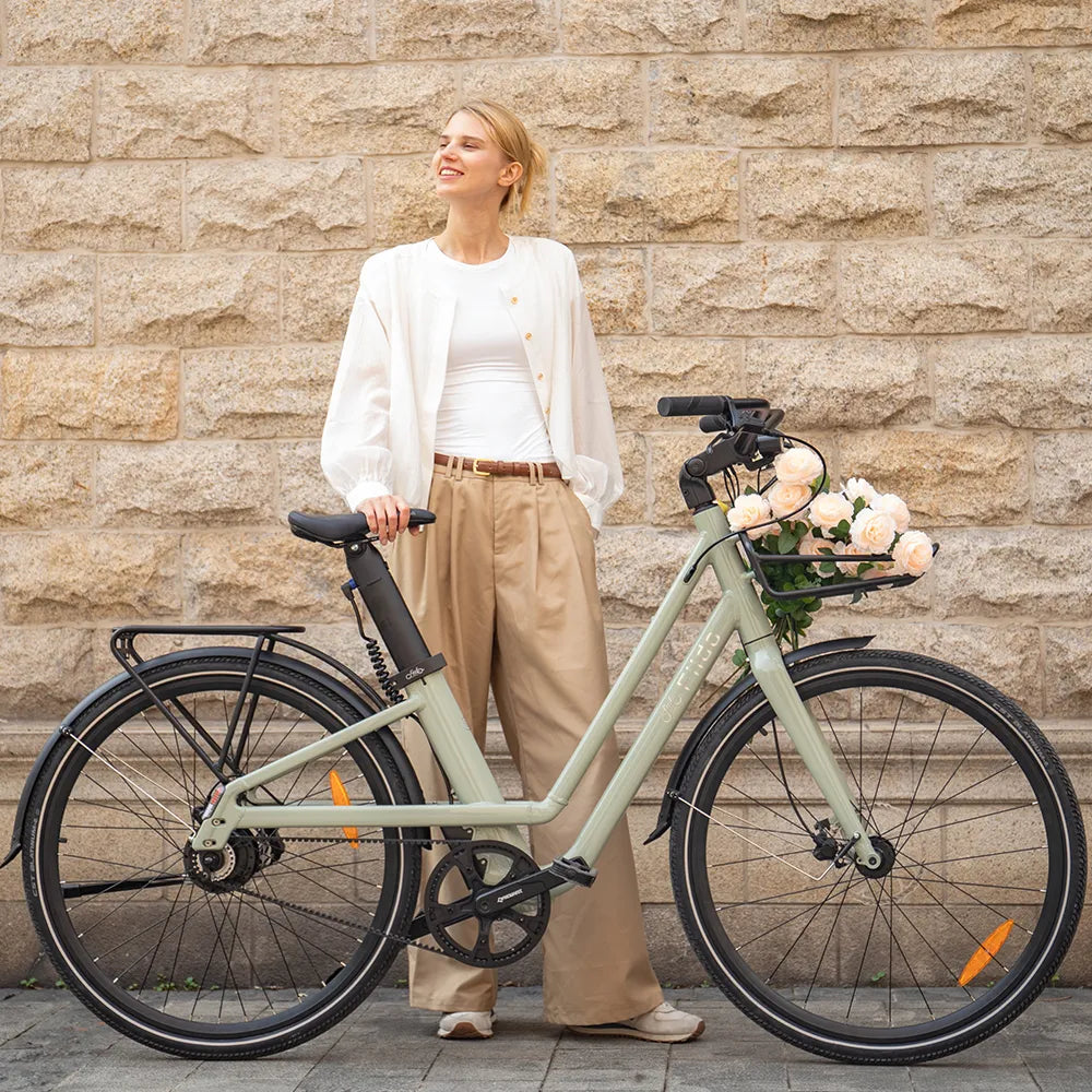 Fiido C700 | Bicicletta elettrica Urbana | Motore 250W | DMEGC 313,2 Wh | Sensore di coppia | Freni idraulici | Autonomia 83,14Km| GARANZIA ITALIANA