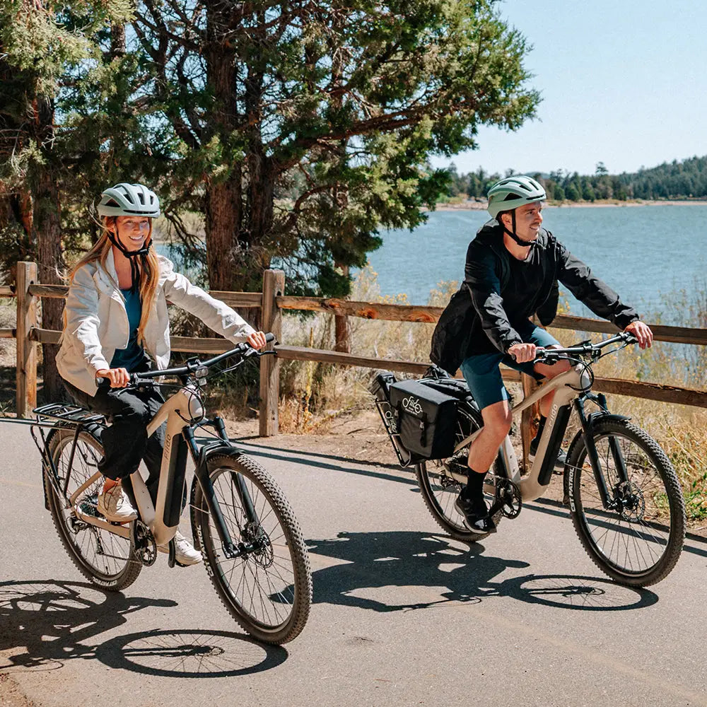 Fiido Nomads | Bicicletta elettrica da turismo | Motore 250W | 417,6 Wh | Sensore di coppia | Freni idraulici | Autonomia 79.36Km| GARANZIA ITALIANA