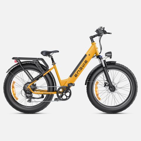 ENGWE E26 ST | Bicicletta Elettrica | Versatile | Motore 250W | 48V 16Ah | 25km/h | Autonomia 140Km| GARANZIA ITALIANA