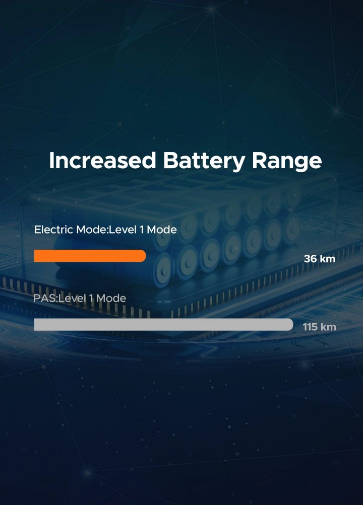 Batteria ENGWE Originale posteriore 48V13Ah +Portapacchi posteriore per EP-2 Pro