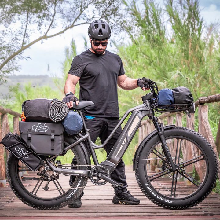 FIIDO Titan | Bicicletta Elettrica | Sensore di Coppia | Motore 250W 55Nm | Autonomia 115km | GARANZIA ITALIANA