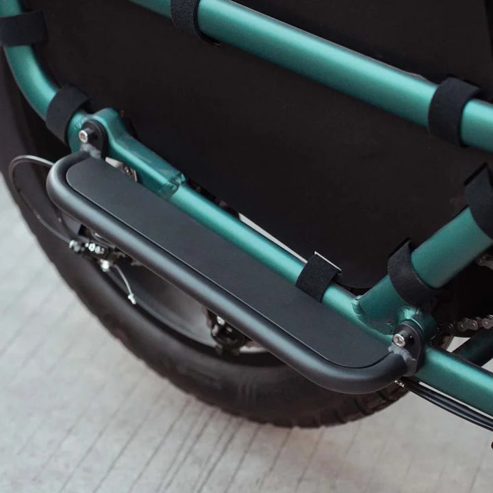 Fiido T2 | Longtail Cargo Bicicletta elettrica | Versatile| Motore 250W 55Nm |  DMEGC 998.4Wh | Sensore di coppia | Freni idraulici  a 4 pistoni | Autonomia 136,26Km| GARANZIA ITALIANA