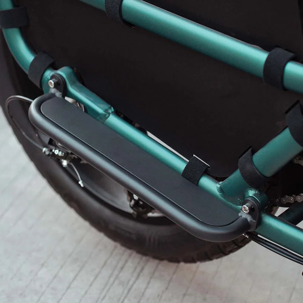 Fiido T2 | Longtail Cargo Bicicletta elettrica | Versatile| Motore 250W 55Nm |  DMEGC 998.4Wh | Sensore di coppia | Freni idraulici  a 4 pistoni | Autonomia 136,26Km| GARANZIA ITALIANA