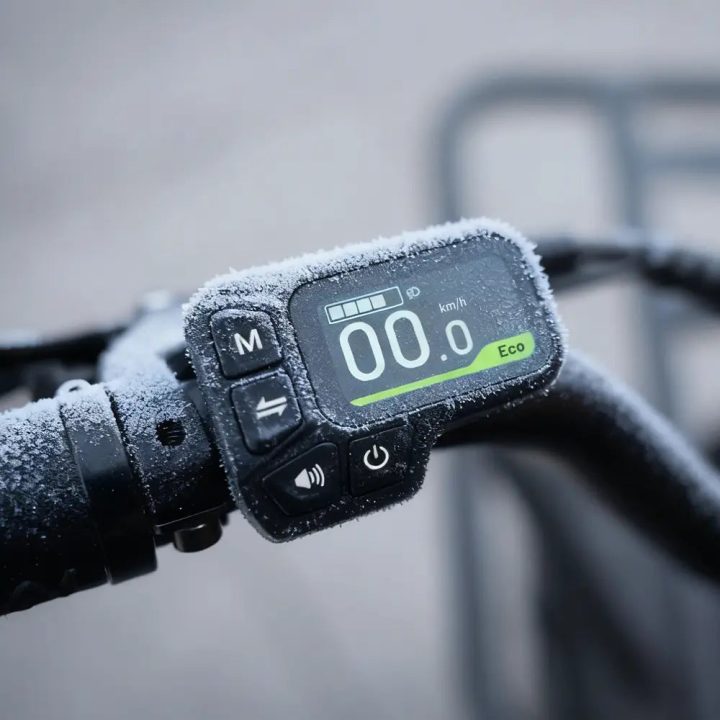 Fiido T2 | Longtail Cargo Bicicletta elettrica | Versatile| Motore 250W 55Nm |  DMEGC 998.4Wh | Sensore di coppia | Freni idraulici  a 4 pistoni | Autonomia 136,26Km| GARANZIA ITALIANA