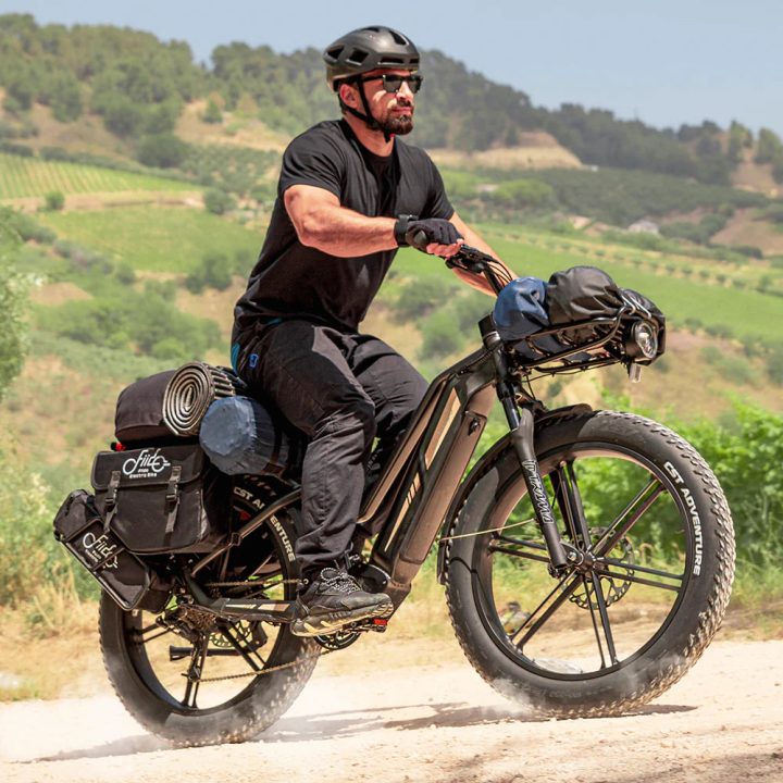 FIIDO Titan | Bicicletta Elettrica | Sensore di Coppia | Motore 250W 55Nm | Autonomia 115km | GARANZIA ITALIANA