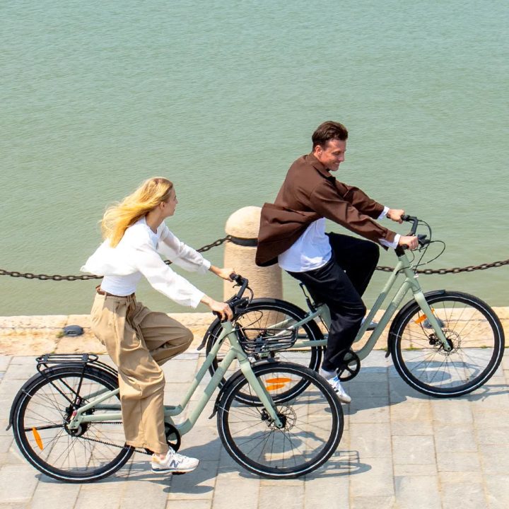 Fiido C700 | Bicicletta elettrica Urbana | Motore 250W | DMEGC 313,2 Wh | Sensore di coppia | Freni idraulici | Autonomia 83,14Km| GARANZIA ITALIANA