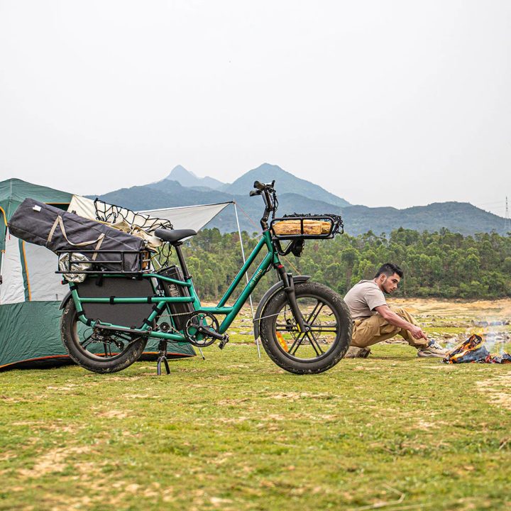 Fiido T2 | Longtail Cargo Bicicletta elettrica | Versatile| Motore 250W 55Nm |  DMEGC 998.4Wh | Sensore di coppia | Freni idraulici  a 4 pistoni | Autonomia 136,26Km| GARANZIA ITALIANA