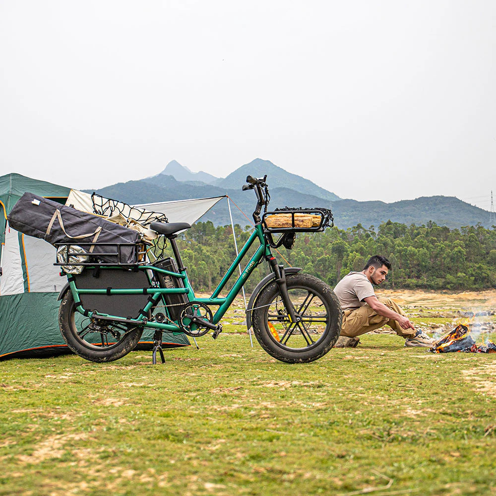 Fiido T2 | Longtail Cargo Bicicletta elettrica | Versatile| Motore 250W 55Nm |  DMEGC 998.4Wh | Sensore di coppia | Freni idraulici  a 4 pistoni | Autonomia 136,26Km| GARANZIA ITALIANA