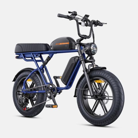 ENGWE M1 | Bicicletta Elettrica per due passeggeri | Versatile | Motore 250W | 48V 15.6Ah/15.6Ah+13Ah | GARANZIA ITALIANA