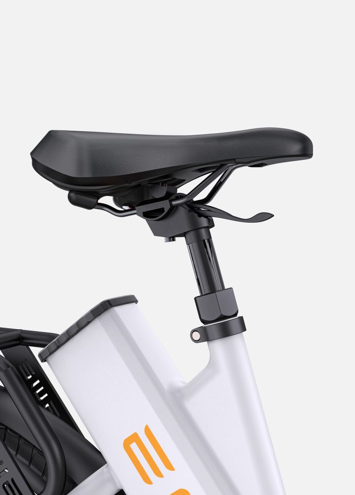 ENGWE P275 ST | Bicicletta Elettrica | Motore centrale Ananda 250W | Sensore di coppia | 36 V 19,2 Ah SAMSUNG | Autonomia 260Km| GARANZIA ITALIANA