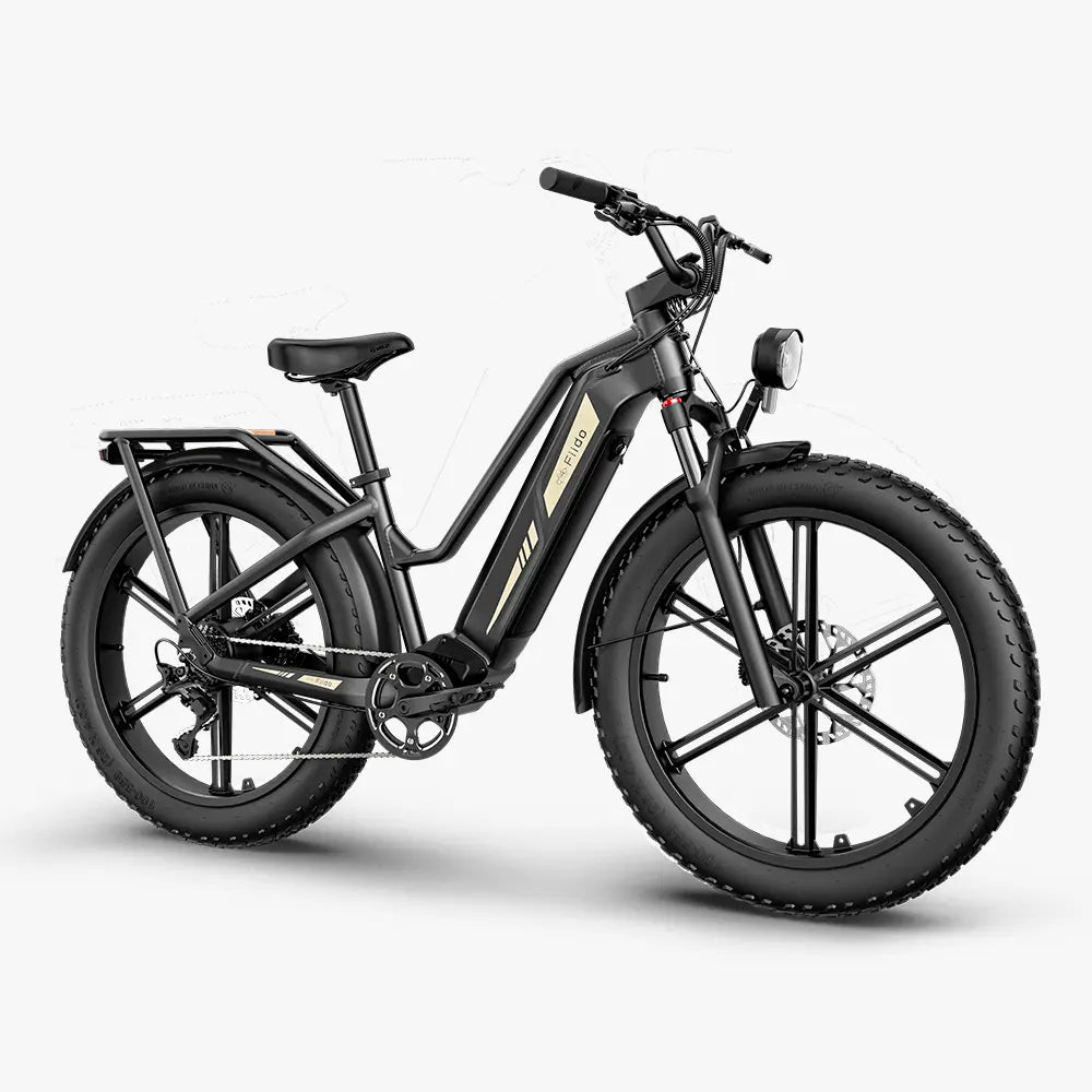FIIDO Titan | Bicicletta Elettrica | Sensore di Coppia | Motore 250W 55Nm | Autonomia 115km | GARANZIA ITALIANA