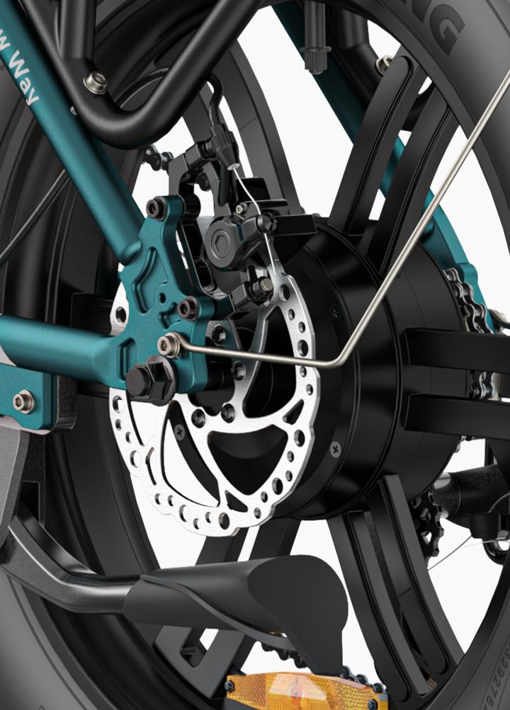 ENGWE L20 Boost | Bicicletta Elettrica | Versatile | Motore 250W | 48V 624wh | Sensore di coppia | 25km/h | Autonomia 126Km| GARANZIA ITALIANA