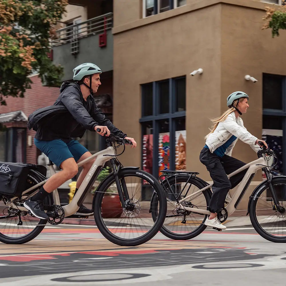 Fiido Nomads | Bicicletta elettrica da turismo | Motore 250W | 417,6 Wh | Sensore di coppia | Freni idraulici | Autonomia 79.36Km| GARANZIA ITALIANA
