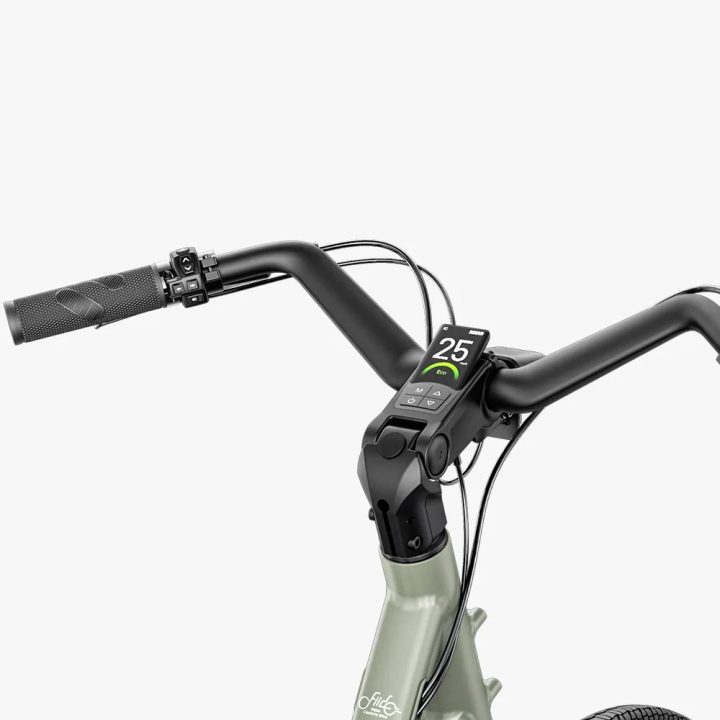 Fiido C700 | Bicicletta elettrica Urbana | Motore 250W | DMEGC 313,2 Wh | Sensore di coppia | Freni idraulici | Autonomia 83,14Km| GARANZIA ITALIANA