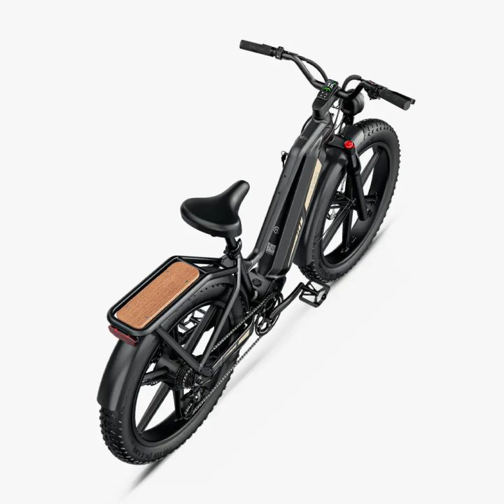 FIIDO Titan | Bicicletta Elettrica | Sensore di Coppia | Motore 250W 55Nm | Autonomia 115km | GARANZIA ITALIANA