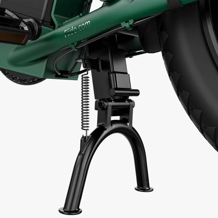 Fiido T2 | Longtail Cargo Bicicletta elettrica | Versatile| Motore 250W 55Nm |  DMEGC 998.4Wh | Sensore di coppia | Freni idraulici  a 4 pistoni | Autonomia 136,26Km| GARANZIA ITALIANA