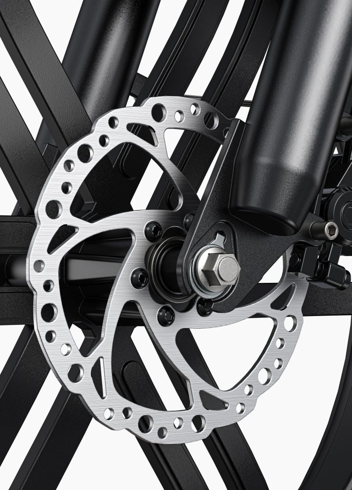 ENGWE L20 Boost | Bicicletta Elettrica | Versatile | Motore 250W | 48V 624wh | Sensore di coppia | 25km/h | Autonomia 126Km| GARANZIA ITALIANA