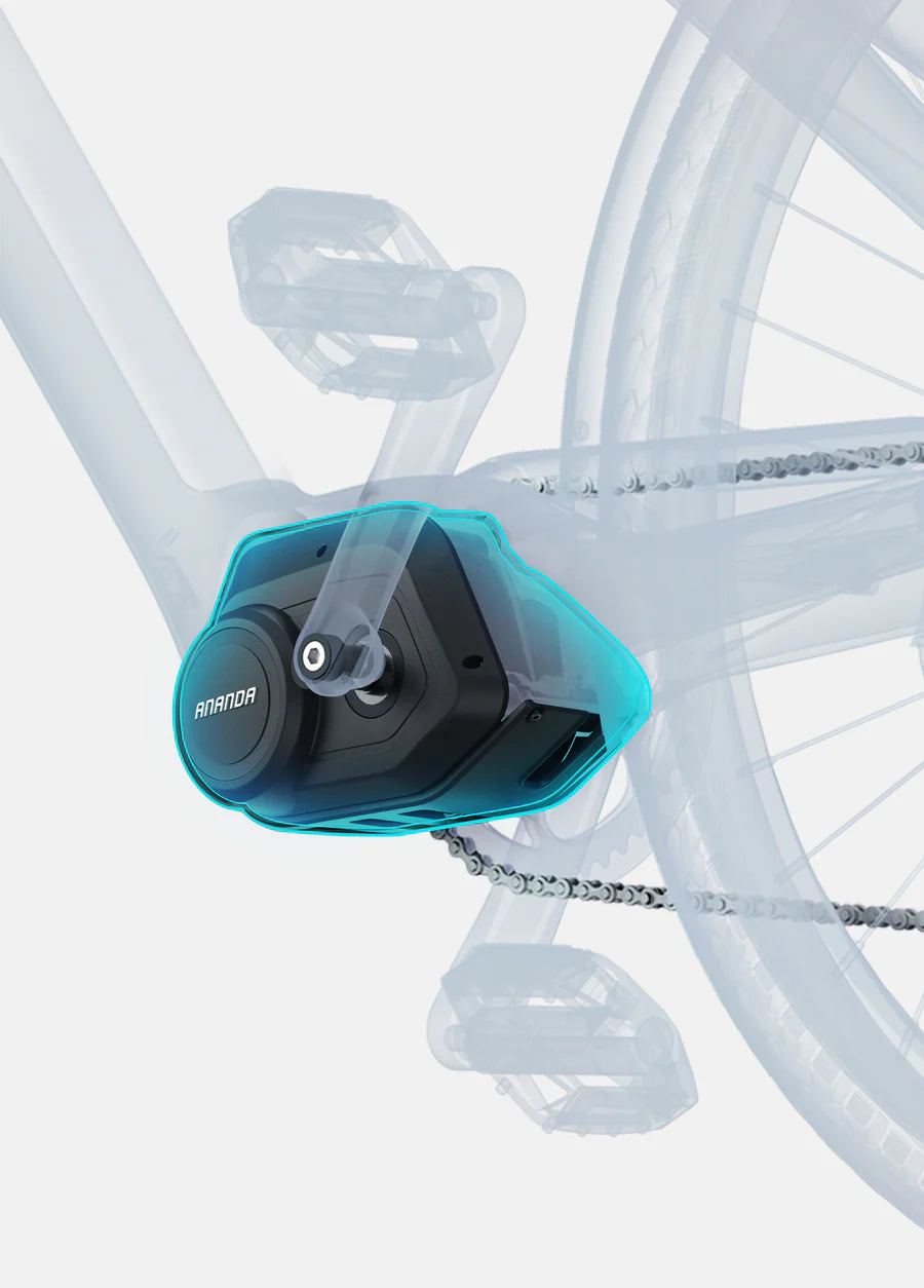 ENGWE MAPFOUR N1 PRO | Bicicletta Elettrica in Fibra di Carbonio | Motore centrale 250W | Cinghia in carbonio | Sensore di coppia | Batteria Samsung 100km | GARANZIA ITALIANA