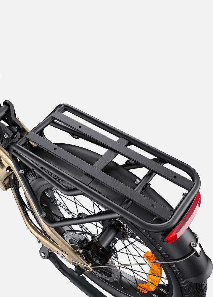 ENGWE L20 3.0 Pro | Bicicletta Elettrica | Motore Centrale 250W | Sensore di coppia | Certificata TÜV | GARANZIA ITALIANA e 100% A NORMA