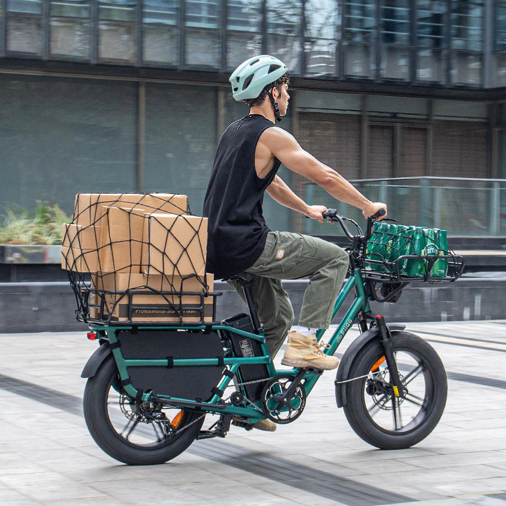 Fiido T2 | Longtail Cargo Bicicletta elettrica | Versatile| Motore 250W 55Nm |  DMEGC 998.4Wh | Sensore di coppia | Freni idraulici  a 4 pistoni | Autonomia 136,26Km| GARANZIA ITALIANA