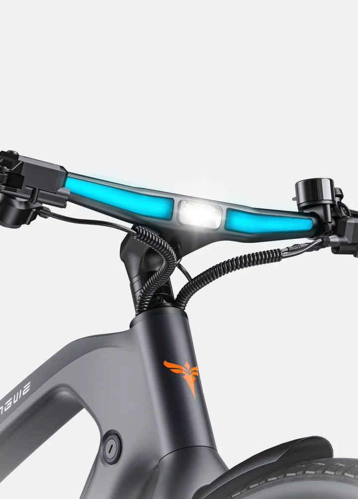 ENGWE MAPFOUR N1 PRO | Bicicletta Elettrica in Fibra di Carbonio | Motore centrale 250W | Cinghia in carbonio | Sensore di coppia | Batteria Samsung 100km | GARANZIA ITALIANA