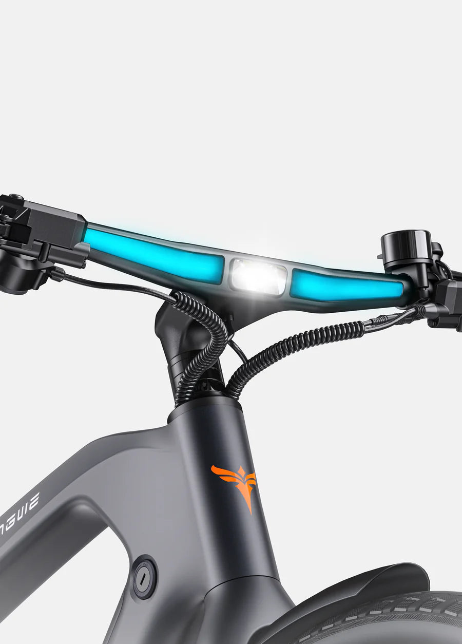 ENGWE MAPFOUR N1 PRO | Bicicletta Elettrica in Fibra di Carbonio | Motore centrale 250W | Cinghia in carbonio | Sensore di coppia | Batteria Samsung 100km | GARANZIA ITALIANA