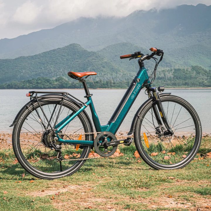 Fiido C11 Pro | Bicicletta elettrica Urbana | Motore 250W 55Nm | DMEGC/EVE 499,2Wh | Sensore di coppia | Freni idraulici | Autonomia 104Km| GARANZIA ITALIANA