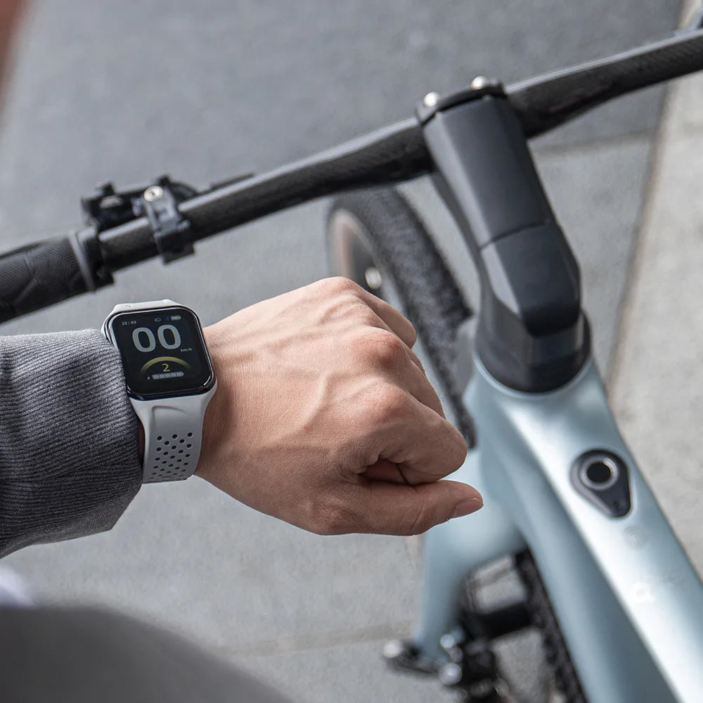 Fiido AIR| Bicicletta elettrica Urbana | Ultraleggero in Fibra di Carbonio | Motore 250W 35Nm |  DMEGC 208,8 Wh | Sensore di coppia | Freni idraulici | Autonomia 60 Km| GARANZIA ITALIANA