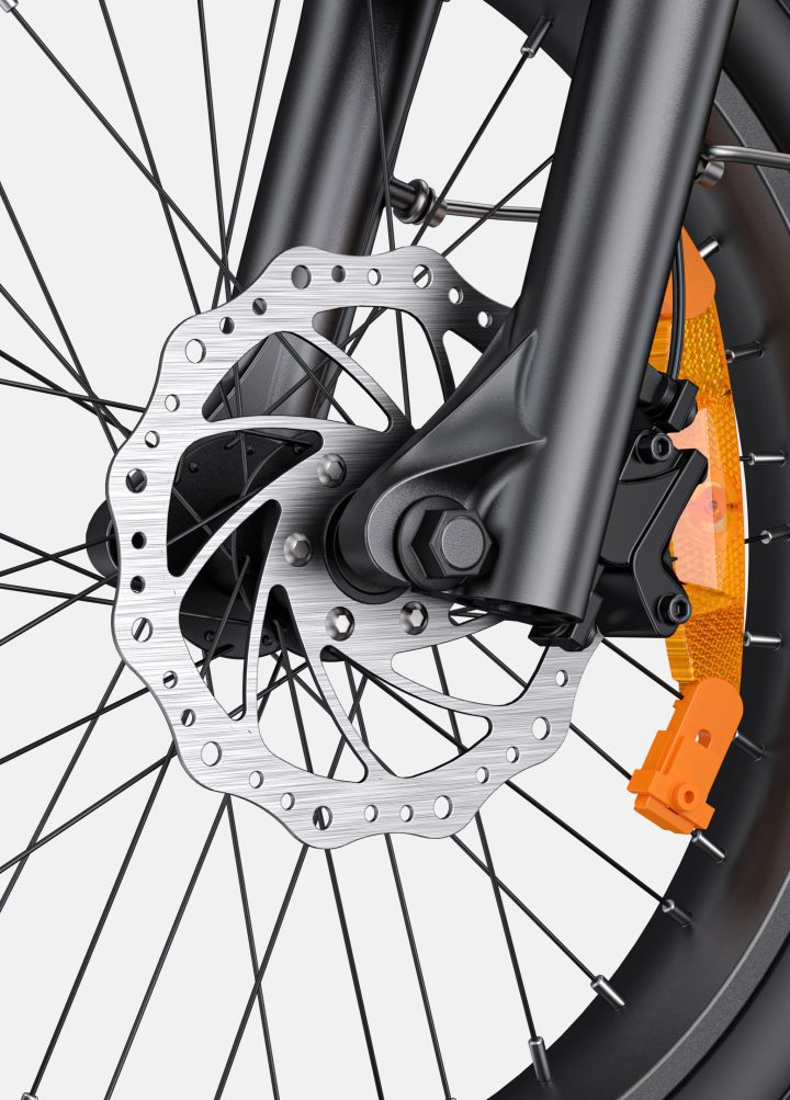 ENGWE L20 3.0 Pro | Bicicletta Elettrica | Motore Centrale 250W | Sensore di coppia | Certificata TÜV | GARANZIA ITALIANA e 100% A NORMA
