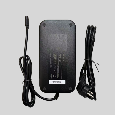 Carica batteria 54.6V 4.5A Originale per bicicletta elettrica ENGWE EP-2 3.0 Boost