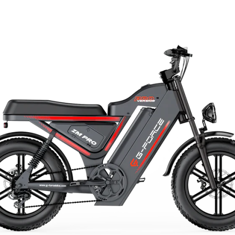 G-FORCE ZM PRO 2025 Nuova E-Bike Premium All-Terrain dal Design Motard | GARANZIA ITALIANA