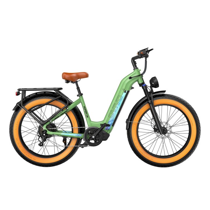 OVIVO HYPER V6 | Bicicletta Elettrica | Versatile | Motore BAFANG 250W | 48V 20Ah | Freni Idraulici | 25km/h | Autonomia 120-150km | GARANZIA ITALIANA