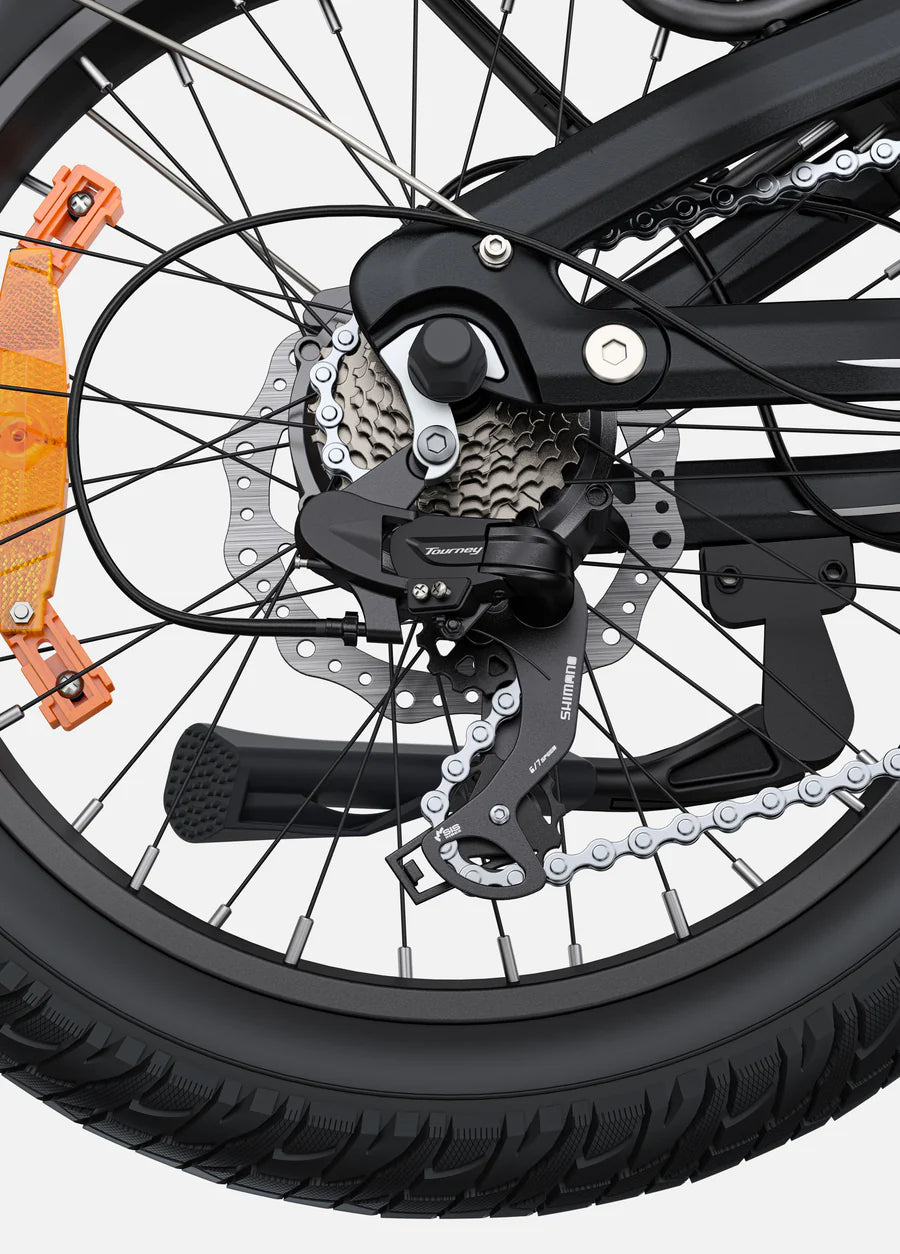 ENGWE L20 3.0 Boost | Bicicletta Elettrica | Motore 250W | Sensore di coppia | Certificata TÜV | GARANZIA ITALIANA e 100% A NORMA