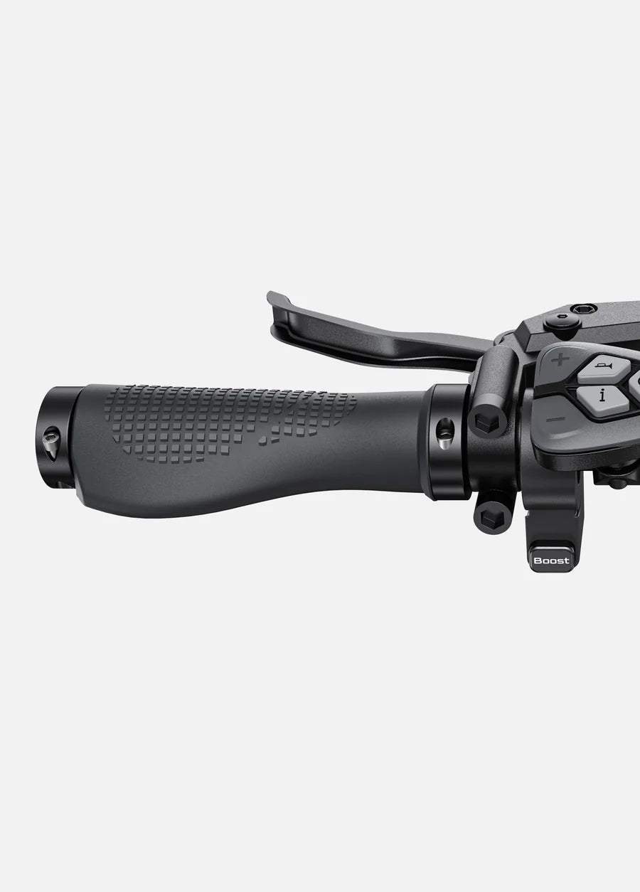 ENGWE L20 3.0 Boost | Bicicletta Elettrica | Motore 250W | Sensore di coppia | Certificata TÜV | GARANZIA ITALIANA e 100% A NORMA