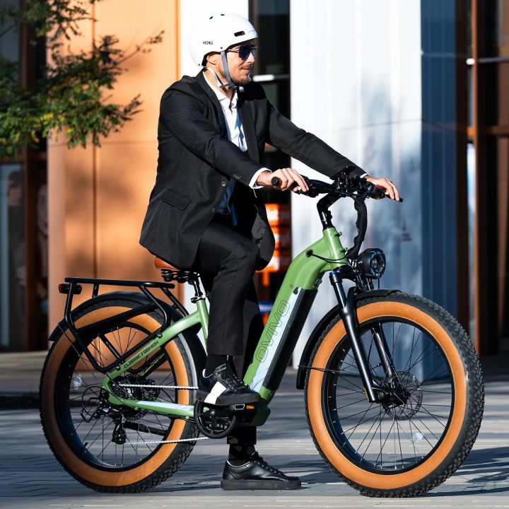 OVIVO HYPER V6 | Bicicletta Elettrica | Versatile | Motore BAFANG 250W | 48V 20Ah | Freni Idraulici | 25km/h | Autonomia 120-150km | GARANZIA ITALIANA