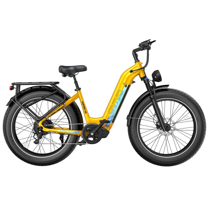 OVIVO HYPER V6 | Bicicletta Elettrica | Versatile | Motore BAFANG 250W | 48V 20Ah | Freni Idraulici | 25km/h | Autonomia 120-150km | GARANZIA ITALIANA