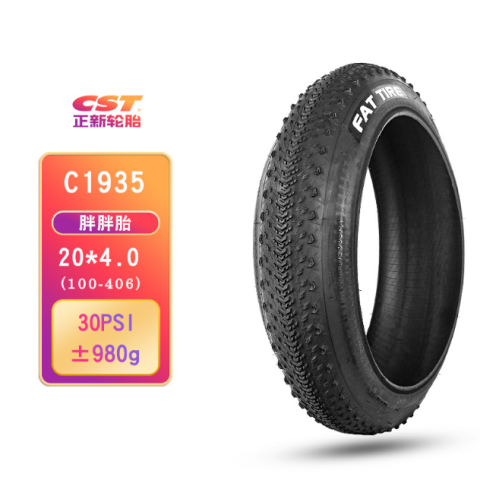 Copertone CST Pneumatico 20x4.0 pollici Fat Tire per bici elettriche E-Bike ENGWE EP-2 Pro/EP-2 PRO EU/EP-2 BOOST/ Engine Pro/M20/ENGINE X e altri