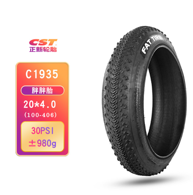 Copertone CST Pneumatico 20×4.0 pollici Fat Tire per bici elettriche E-Bike ENGWE EP-2 Pro/EP-2 PRO EU/EP-2 BOOST/ Engine Pro/M20/ENGINE X e altri